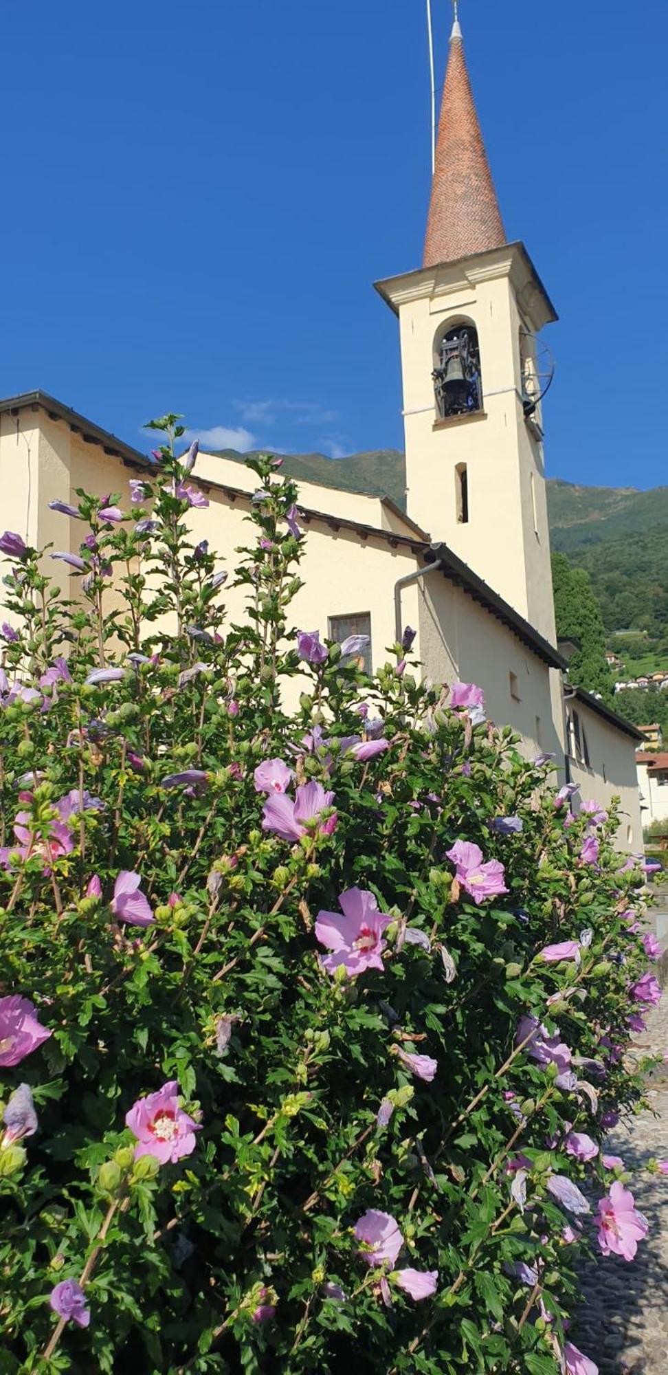 Laguna Apartamento